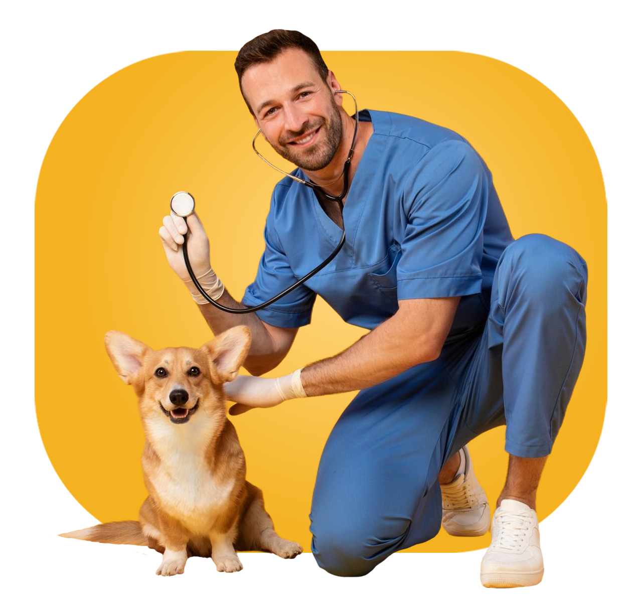 'Misión' de la veterinaria Happy Pets.